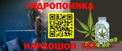 PSILOCYBIN Гусиноозёрск