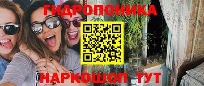 PSILOCYBIN Гусиноозёрск
