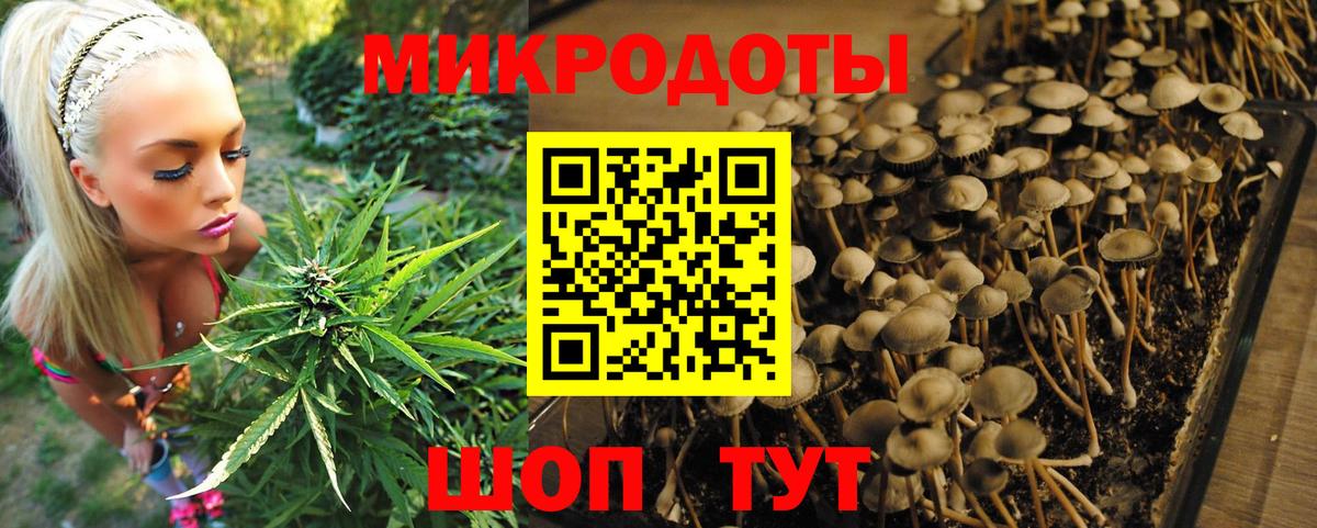 Псилоцибиновые грибы Psilocybe  Вход с VPN  купить  сайты  Нововоронеж 