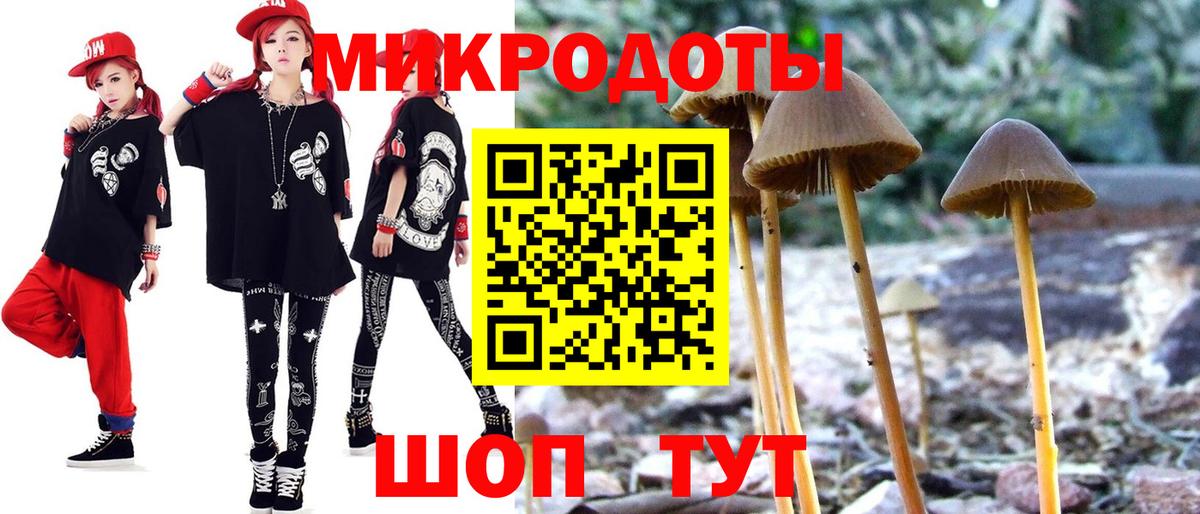 Галлюциногенные грибы прущие грибы Нововоронеж